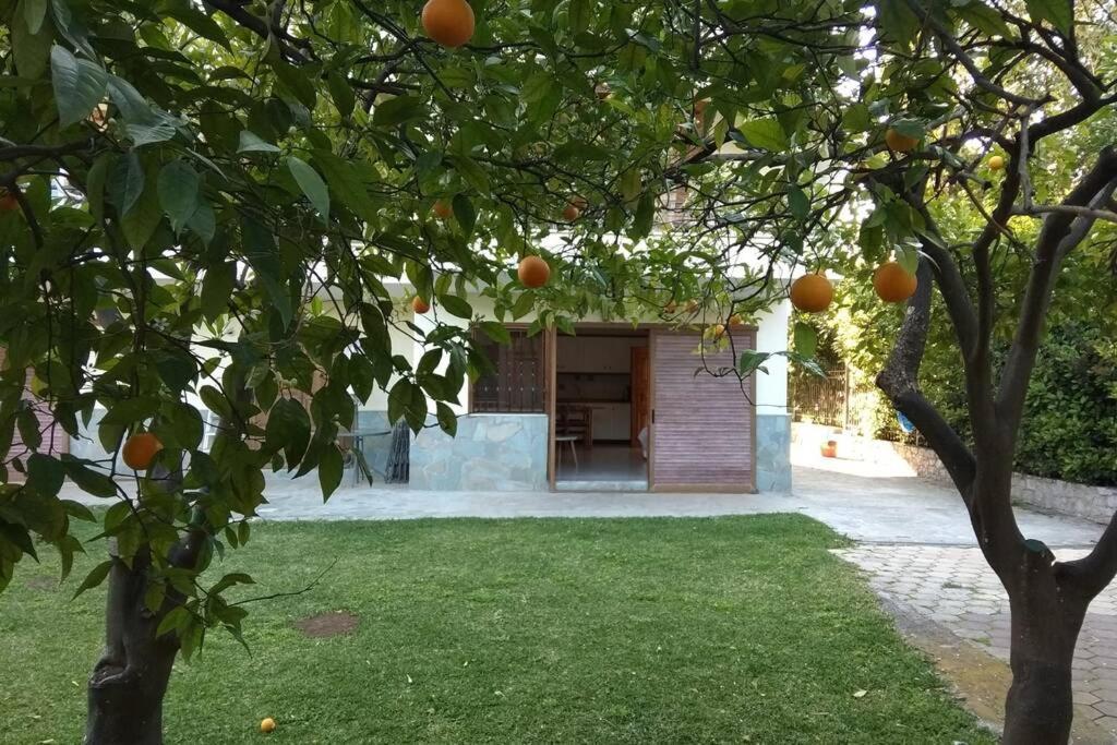 Electra Apartment In Epidaurus Esterno foto